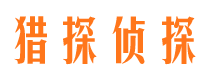 山亭侦探